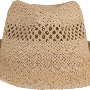 Chapeau style Panama