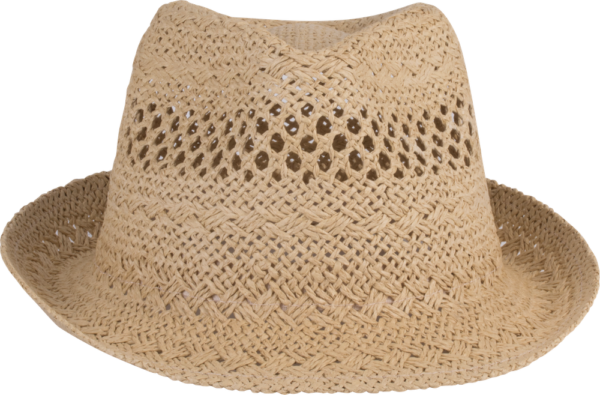 Chapeau style Panama