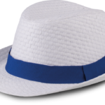 Chapeau de paille style Panama rétro
