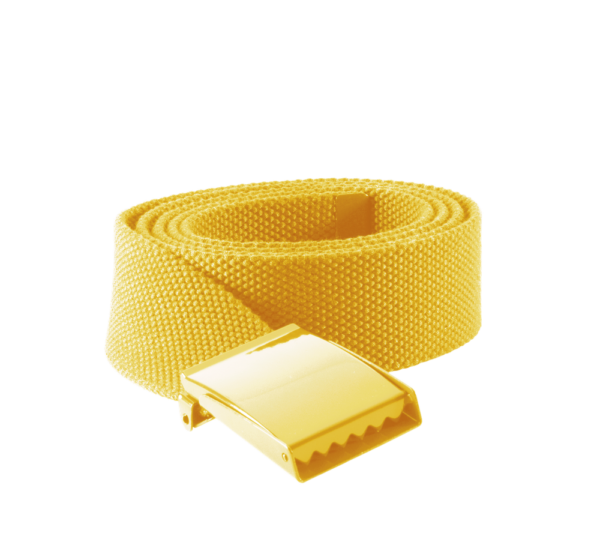 Ceinture en polyester