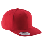 Casquette visière plate – 6 panneaux