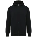 Veste zippée à capuche homme