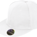 Casquette Bronx