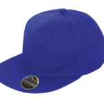 Casquette Bronx