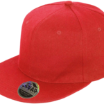 Casquette Bronx