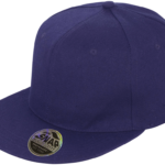Casquette Bronx