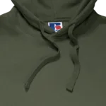 Sweat-shirt capuche Authentic homme