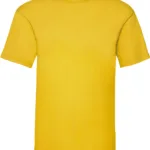 T-shirt homme Valueweight (61-036-0)