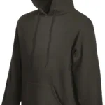 Sweat-shirt capuche Premium