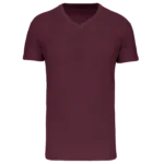 T-shirt Bio150 IC col V homme