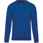 Sweat-shirt Bio manches raglan enfant