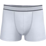 Boxer