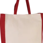 Sac cabas bicolore