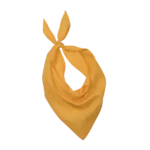 Fiesta – Bandana