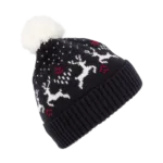 Bonnet de Noël motifs rennes