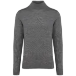 Pull Mérinos col roulé homme