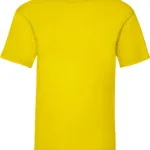T-shirt homme Valueweight (61-036-0)